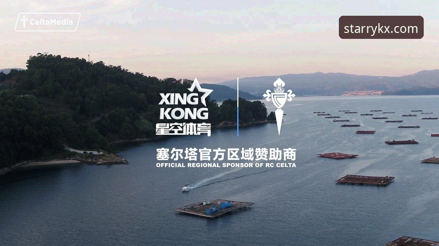 星空体育安卓下载 vs 官方网页版：哪个更适合新手入门？F8Z3通道全面对比